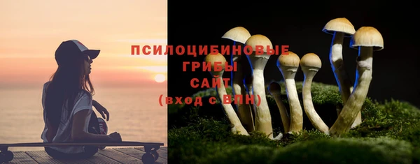 гидра Заволжск