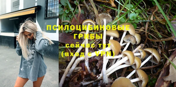 первитин Заволжье