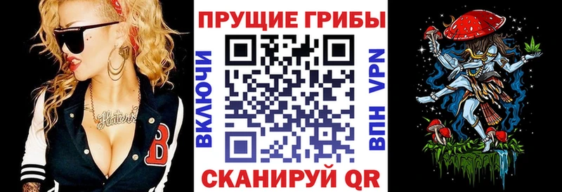 Купить  Приморско-Ахтарск  Псилоцибиновые грибы Magic Shrooms 